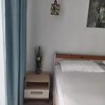 Shel Apartment Navodari