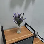 Apartment Shel *