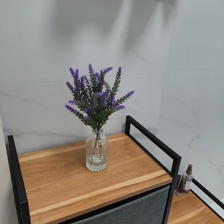 Apartamento Shel *