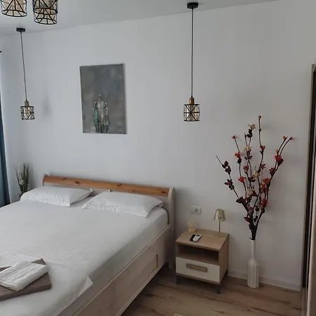 Apartment Shel Navodari